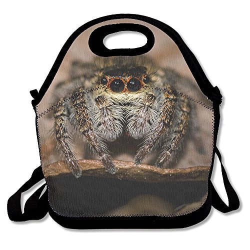 Cute Tarantula Spider Animal Lunch Tote Bag Bags Awesome Lunch Handbag Lunchbox Box For School Work Outdoor