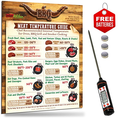 Accurate Digital BBQ Thermometer  Meat Temperature Guide Magnet  2 Sets of Free Batteries for Oven BBQ Grill Cooking USDA Safety Chef Recommended Internal Meat Temperature Barbecue Grill Gift