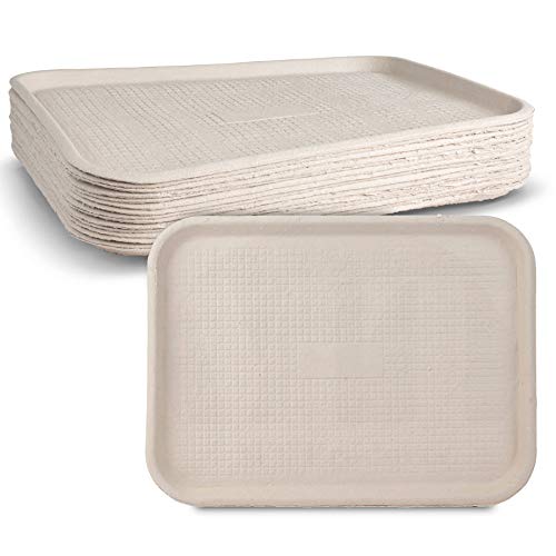 White Rectangular Molded Fiber Pulp Cafeteria Style Food Tray Size of 12x 16 by MT Products (15 Pieces)