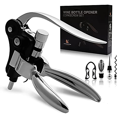 KITESSENSU Wine Bottle Opener Set Corkscrew Kit with Foil Cutter Wine Aerator Wine Stopper Extra Spiral and Corkscrew Stand Screwpull Levers GIFT FOR WINE LOVERSSILVER