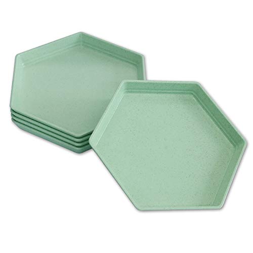5 Pack Premium Dessert plate 67 x 59 Reusable Appetizer Plates Unbreakable Small Dessert Saucer Colorful Snack Tableware Set for Fruit Candy Side Dishes (Hexagon) (15cm 5Green)